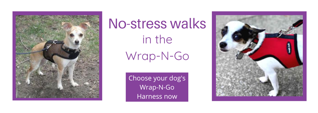 Your walks will be stress-free when your dog wears the Wrap-N-Go Harness