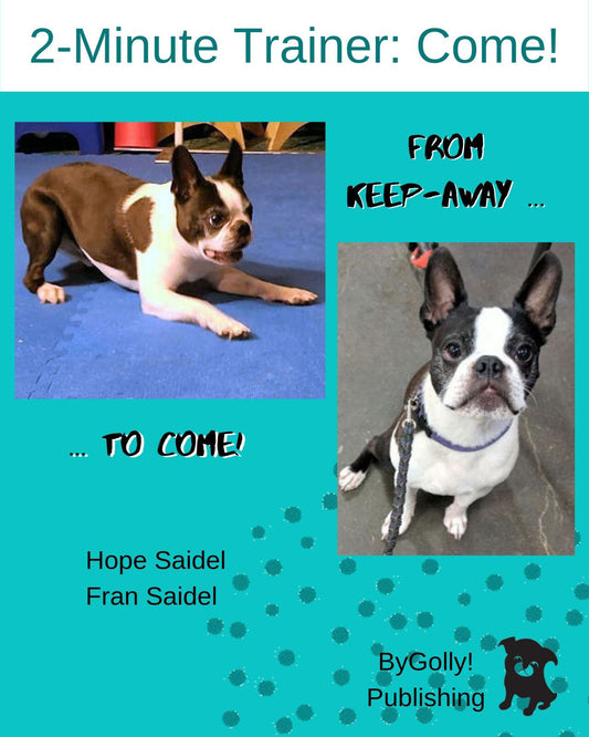 Cover of the dog training book 2-Minute Trainer: Come!.