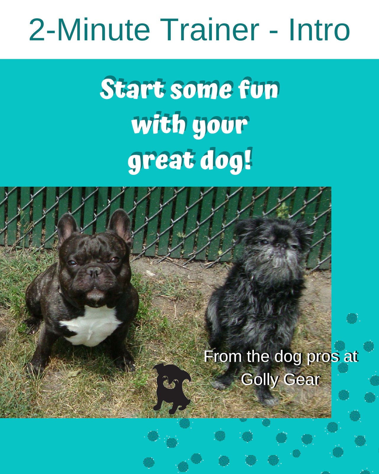 Cover of the 2-Minute dog trainer dog training guide.