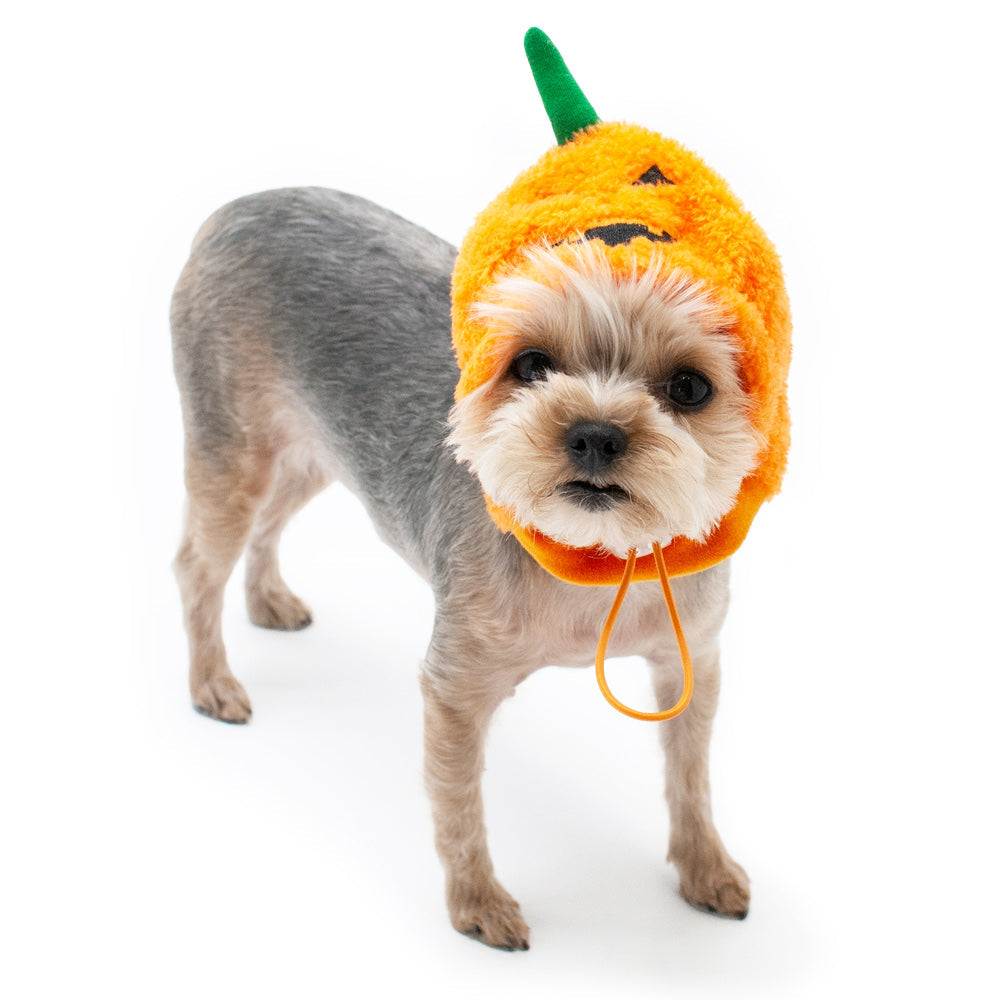 Jack-O Hat - Partner Brand