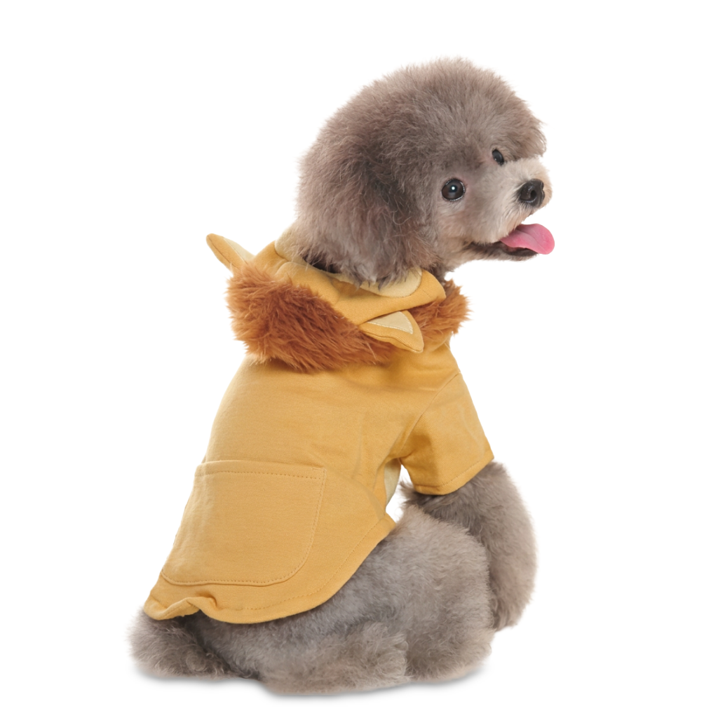 Lion King Sweatshirt - Partner Brand