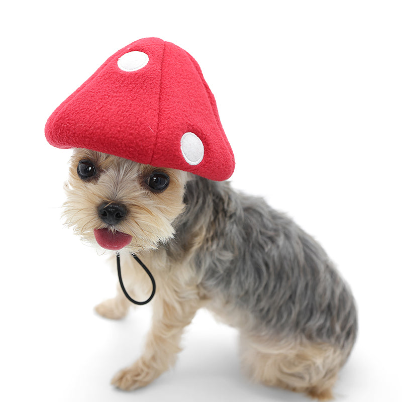 Mushroom Hat - Partner Brand
