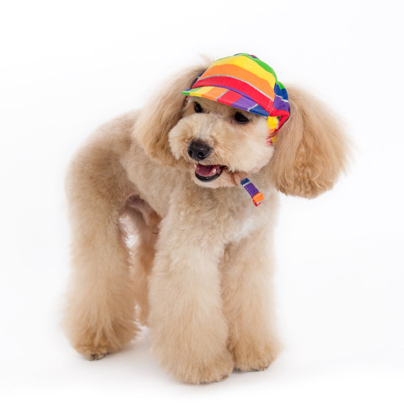 Rainbow Hat - Partner Brand