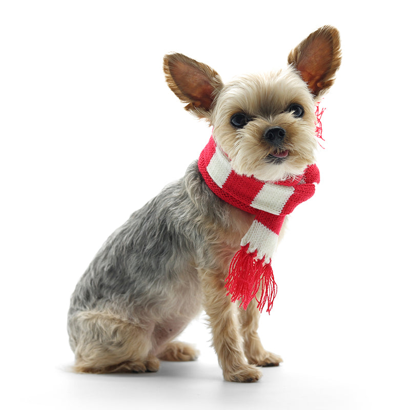Urban Stripe Scarf - Partner Brand