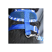 Close-up of the back of the Blue Aloha Mesh Dog Harness.