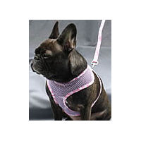 A Brindle French Bulldog wearing the Pink Aloha Mesh Vest Harness.