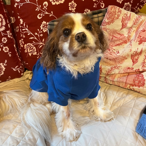 Hoodie Sweatshirt