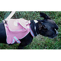 A Boston Terrier wearing the pink Backpack Harness as seen from above.