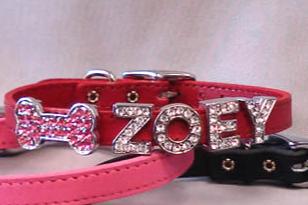 The Charm Collar in Red, Pink, and Black with a bone-shaped charm and the name Zoey on the red collar.