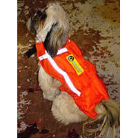 A Shih Tzu wearing the Chillybuddy Winter Jacket with a reflective stripe.