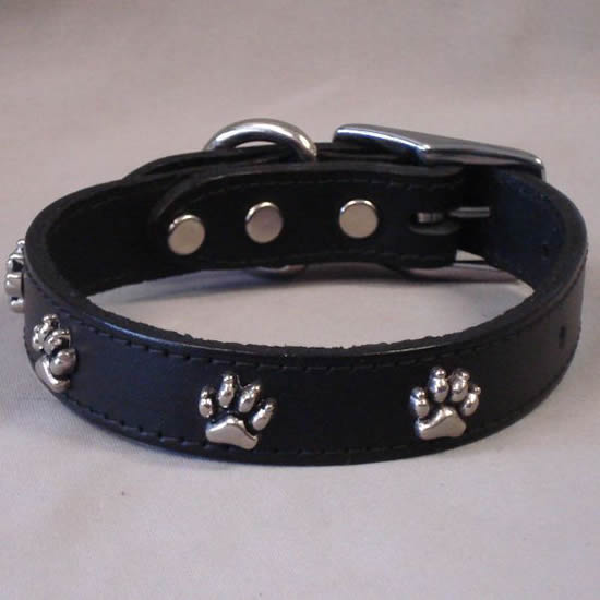 The black Paw Print Ornament Collar.