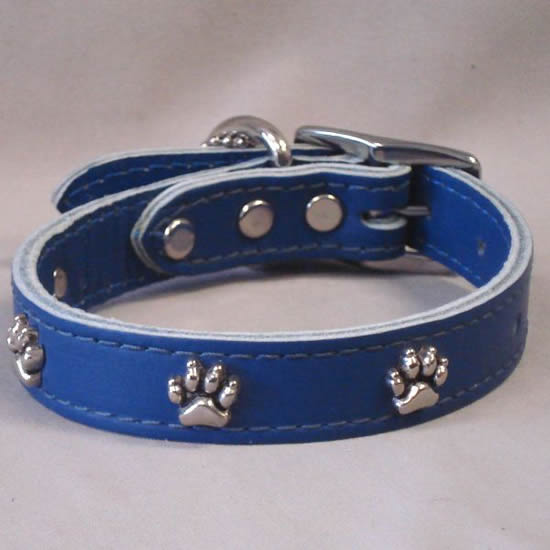 The Blue Paw Print Ornament Collar.