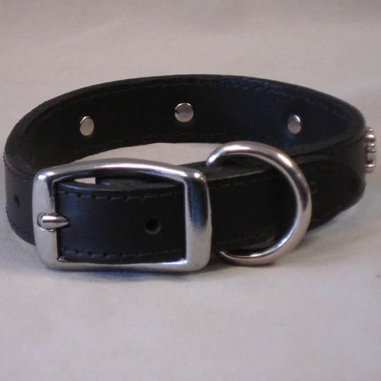 Showing the belt-style buckle of the black Paw Print Ornament Collar.