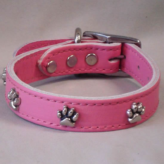 The pink Paw Print Ornament Collar.