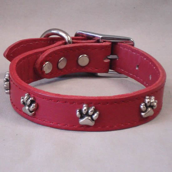 The red aw Print Ornament Collar.
