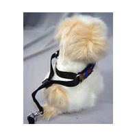 A stuffed dog to illustrate how the EZ Collar works.