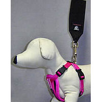Dog mannequin wearing the Chest Plate Harness with the Seat Belt Loop attached.
