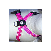Back detail of the Chest Plate Harness showing the D-ring for the leash.
