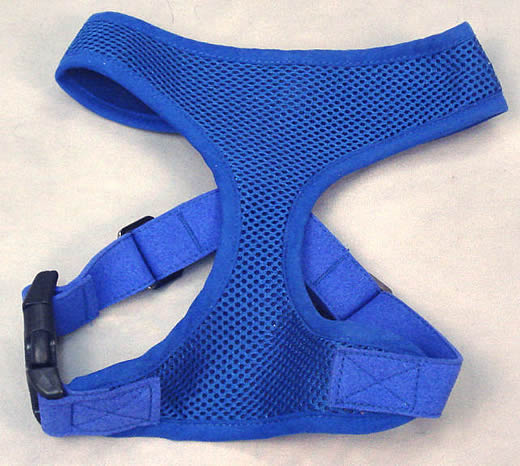 Front of the Freedom Harness.