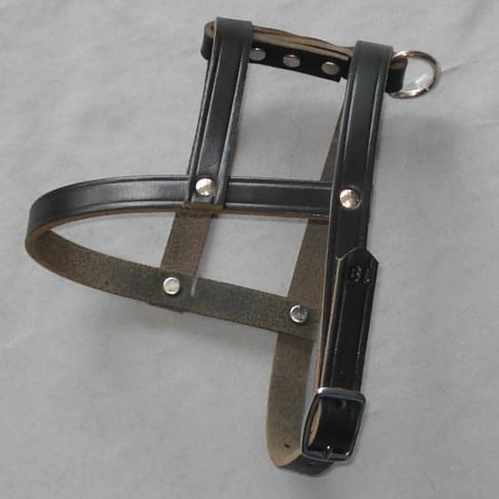 Close-up picture of the H-Style Leather harness showing its construction and buckle.