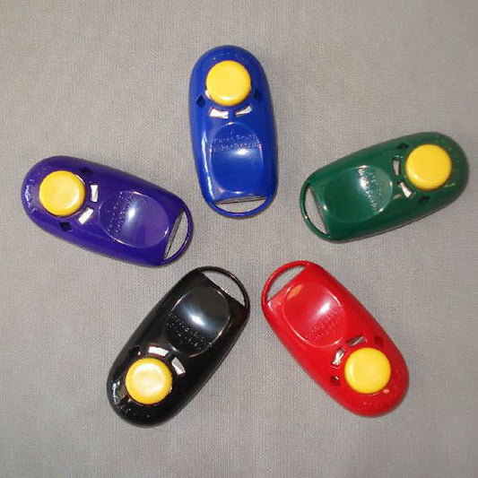 Blue, Green, Red, Black, and Purple  i-Click clickers laid out in a flower pattern.