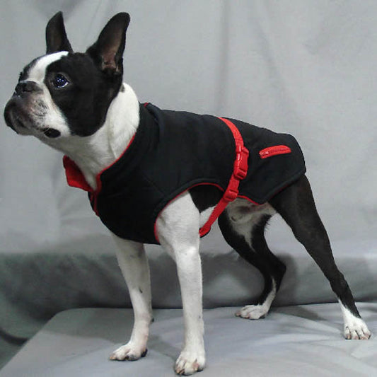 Boston Terrier showing the left side of the Trek Sport Jacket.