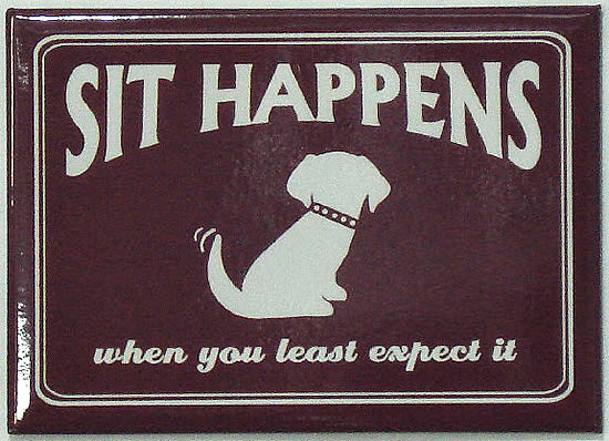 Magnet with saying Sit Happens when you least expect it.