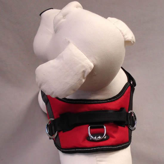 Top view of the Reflective No-Pull Harness worn by a dog mannequin.