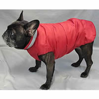 Side view of the North Paw Puffy Vest worn by a brindle French Bulldog.