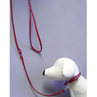 Showing the Poochee Rolled Leather Collar and the matching leather leash.