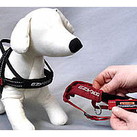 Showing the black Quick-Fit harness on a dog mannequin and the neoprene sleeve covering the hook-and-loop adjuster shown by a person.