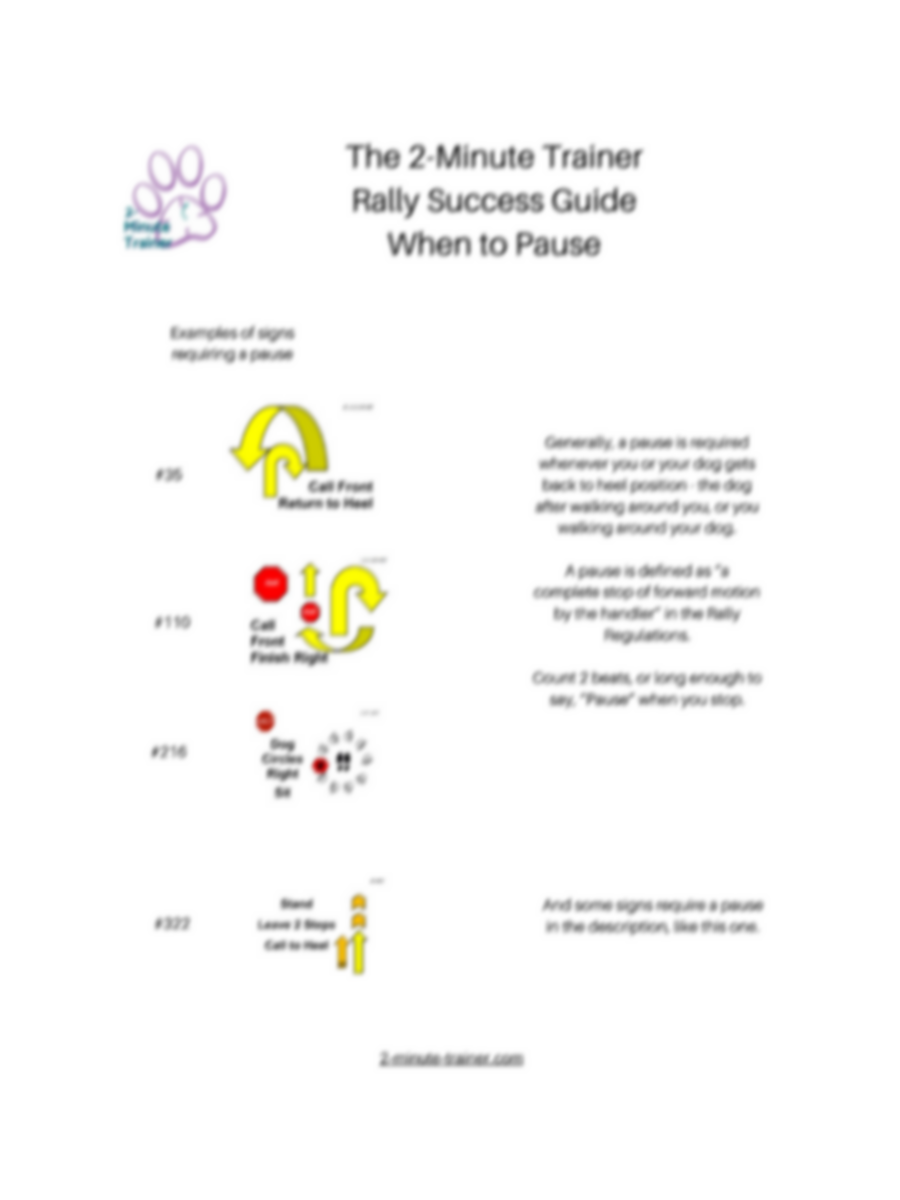 2-Minute Trainer Rally Guide to the Pause