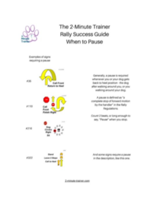 2-Minute Trainer Rally Guide to the Pause