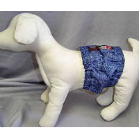 White dog mannequin showing the blue Male Restrictive Band.