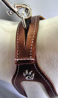 Close up detail of a leash attached to the Choke Free Shoulder Collar Harness.