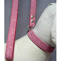 Detail of the Embossed Suede Leash and matching collar in pink.