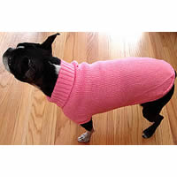 A Boston Terrier standing wearing the Solid Turtleneck Sweater in pink.