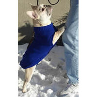 A fawn French Bulldog standing on its hind legs wearing the Solid Turtleneck Sweater in blue.
