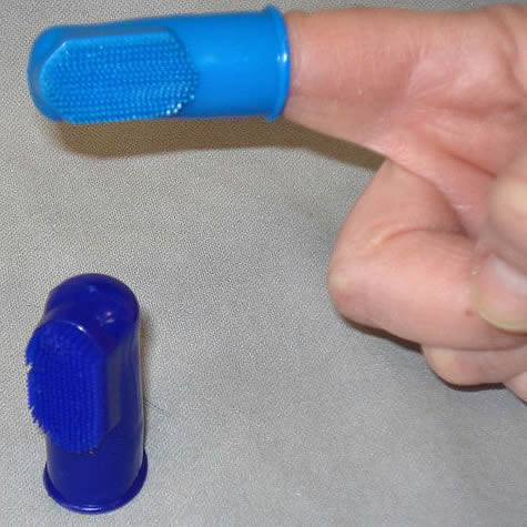 Detail of the colors of the finger toothbrush, one standing and one on a finger.
