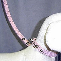 View of the Top Dog Leash in pink.