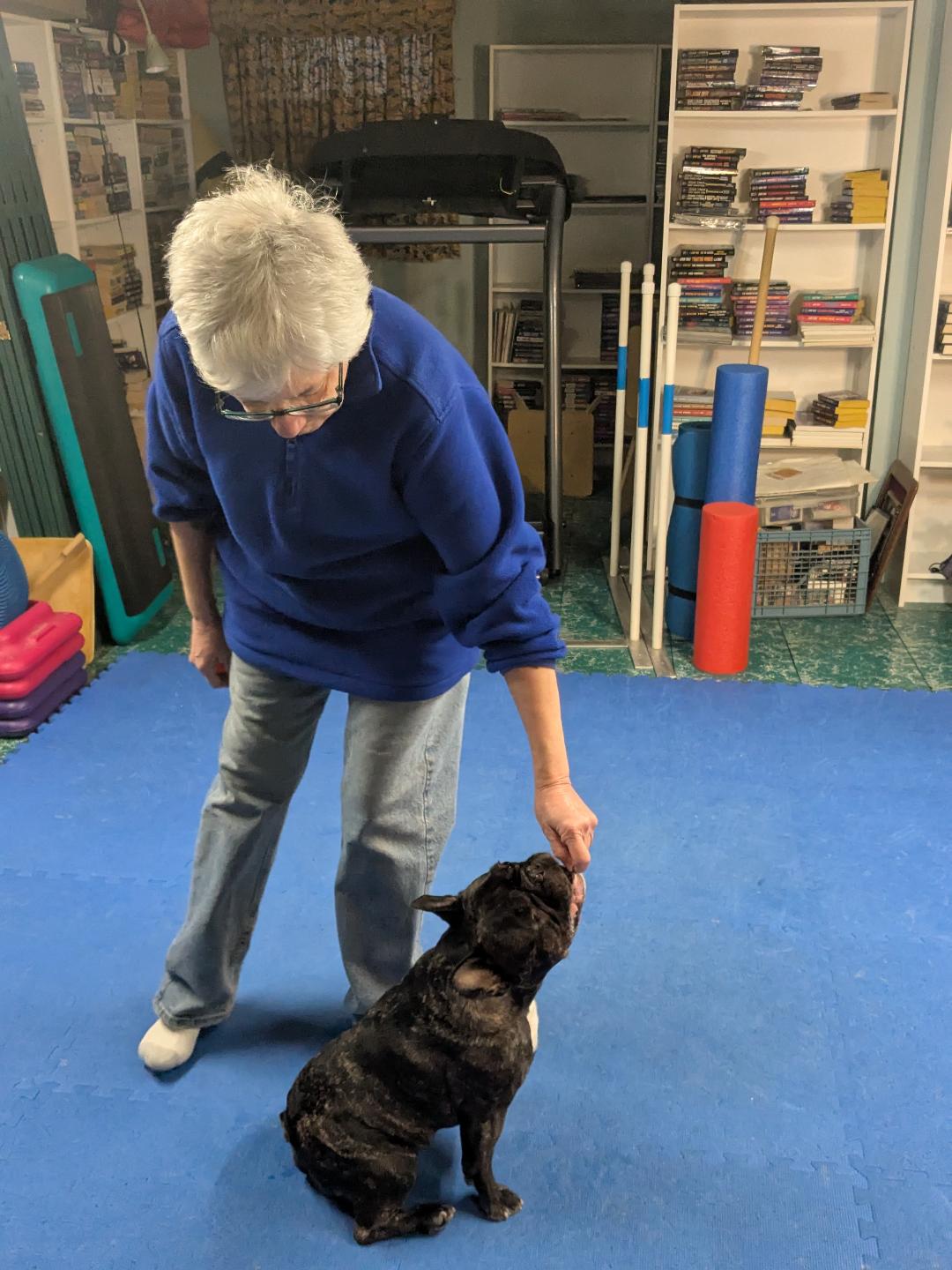 Personalized dog training coaching