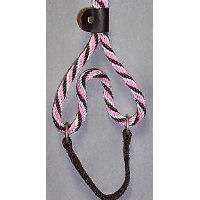 Close up of the Twist Martingale Dog Walker.