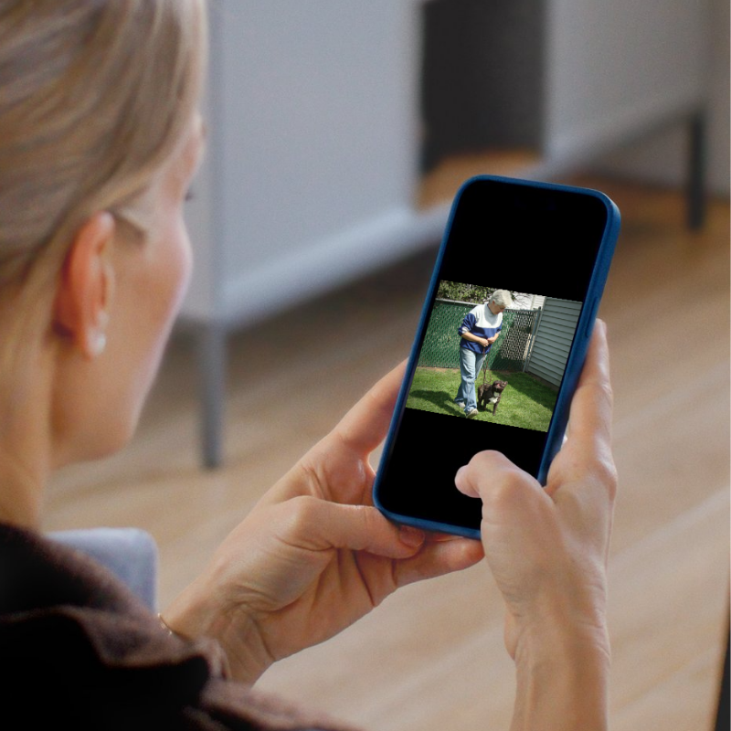 30-Minute Dog Training Consultation