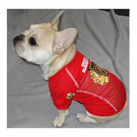 Chicago Blackhawks Jersey for Dogs from 