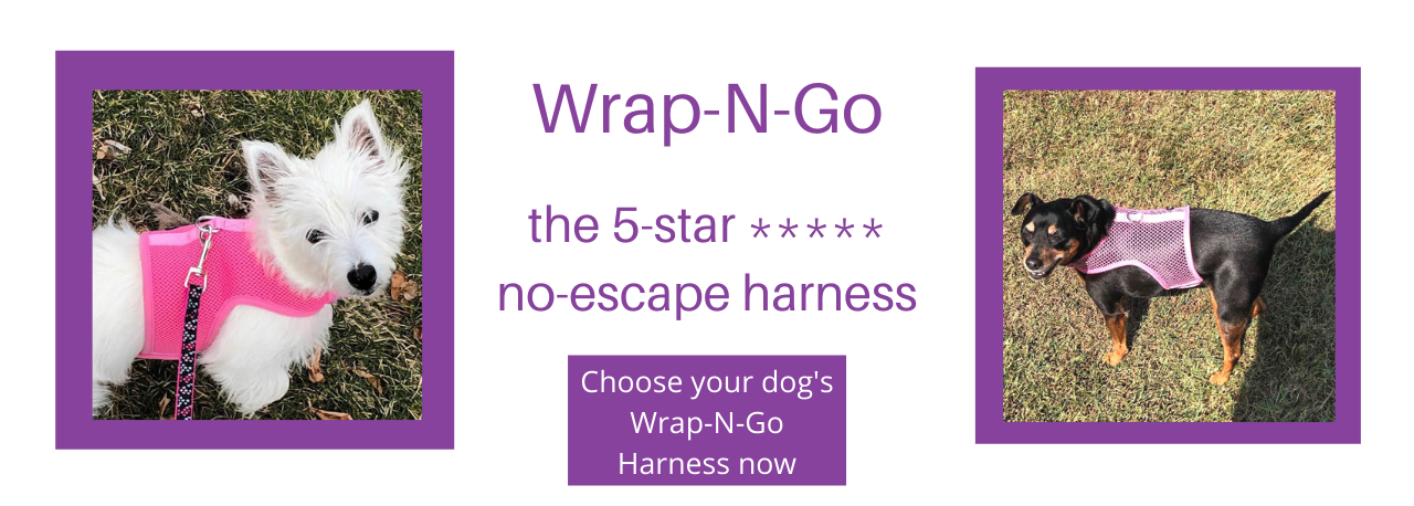 Wrap-N-Go: the best 5-star no-escape harness.