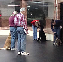 Look out for your dog - be an advocate
