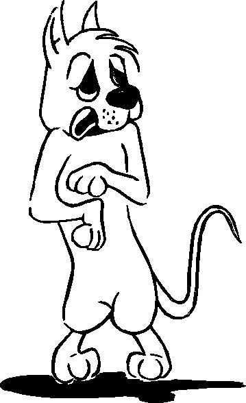 Give your dog a break