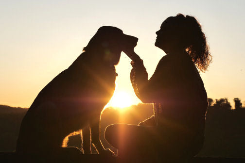 Why does my dog love other people more?