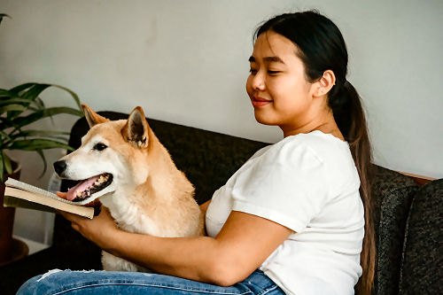 Setting your dog training goals
