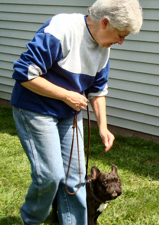 We Don’t Train Dogs. We Train People.